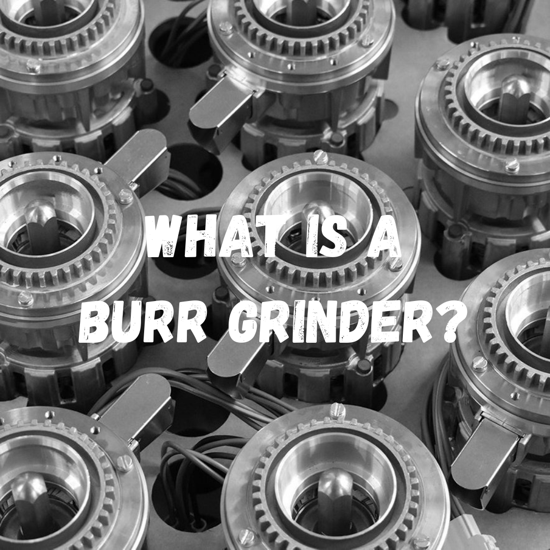 What is a burr coffee grinder?