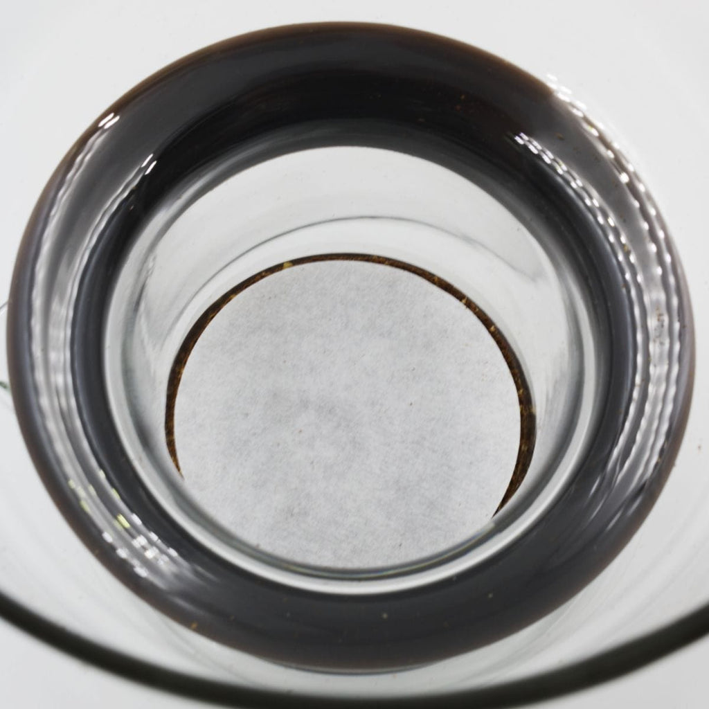 Bruer Bruer Paper Filters 350pk Coffee Filters