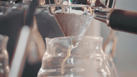 Victoria Arduino E1 Prima EXP Espresso Machine